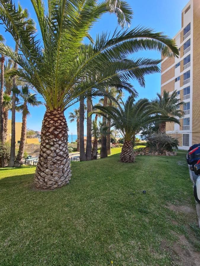 Room In Apartment - 1St Line Top Floor Apartment Carrer del Mar エクステリア 写真